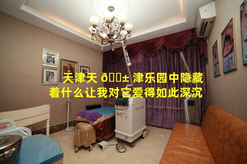 天津天 🐱 津乐园中隐藏着什么让我对它爱得如此深沉